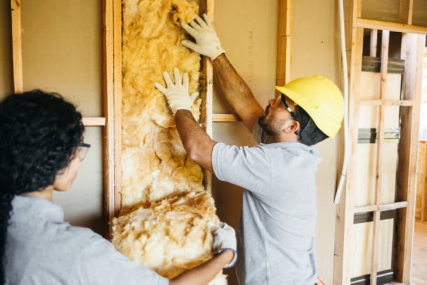 Attic Insulation Near Me in Holiday Island, AR
